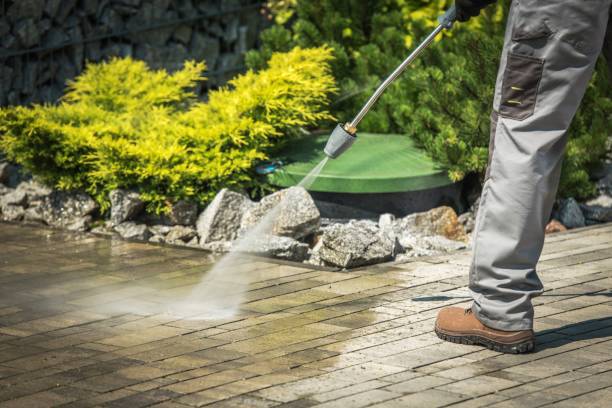 Best Roof Washing  in Minneola, FL