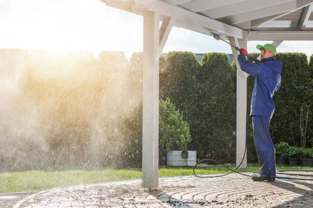 Best Sidewalk and Walkway Cleaning  in Minneola, FL