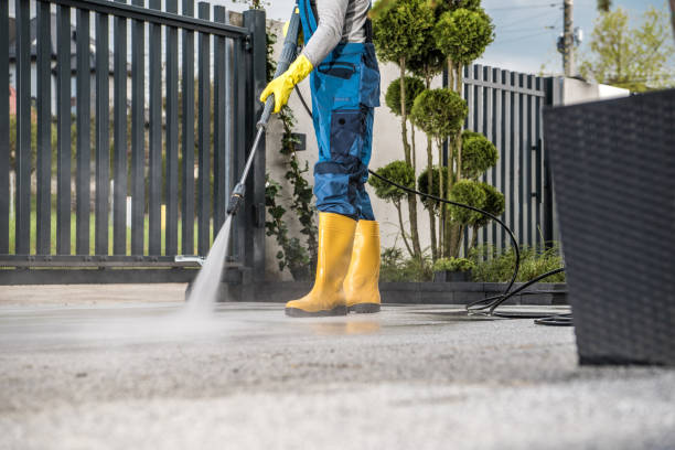 Best Gutter Cleaning  in Minneola, FL